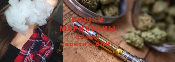 ПСИЛОЦИБИНОВЫЕ ГРИБЫ Белокуриха