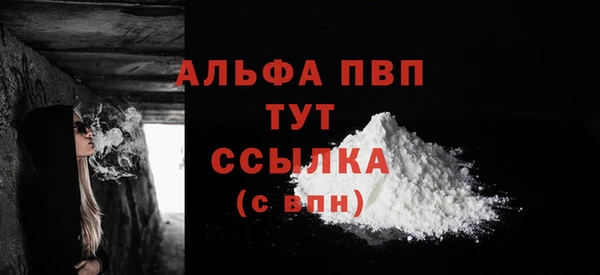 ПСИЛОЦИБИНОВЫЕ ГРИБЫ Белокуриха
