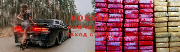 ПСИЛОЦИБИНОВЫЕ ГРИБЫ Белокуриха