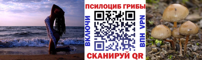 что такое наркотик Кемерово Галлюциногенные грибы Cubensis