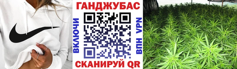 Конопля план Кемерово